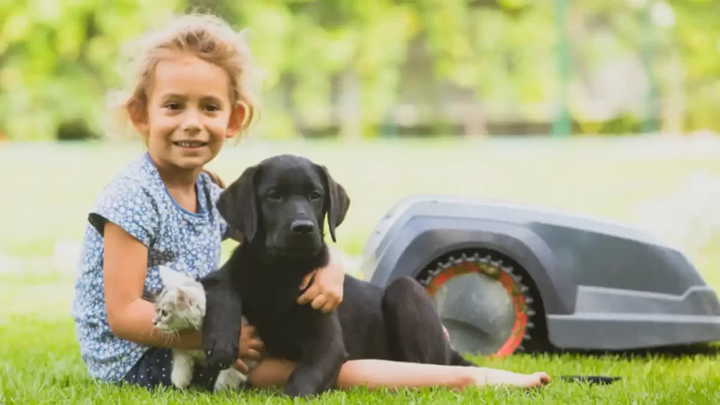 robotic mower safe for kids and pets