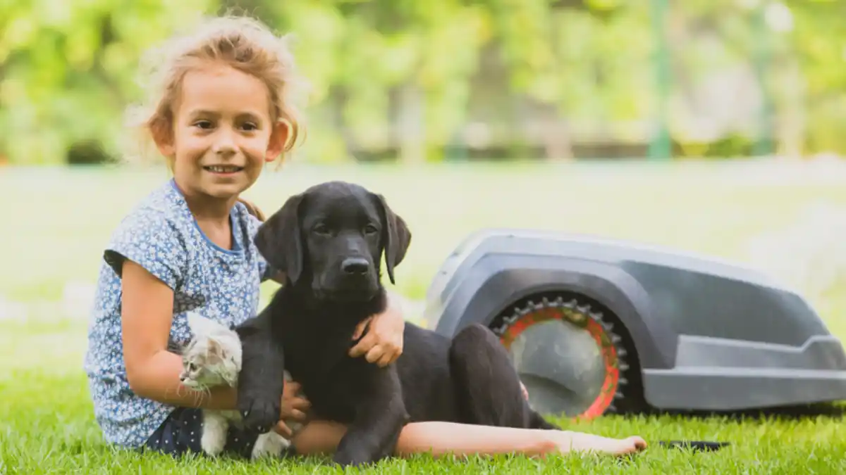 Are Robotic Mowers Safe Around Kids And Pets?