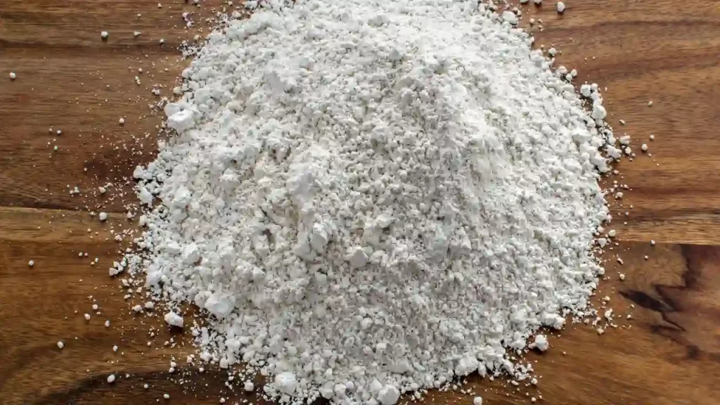 Diatomaceous Earth