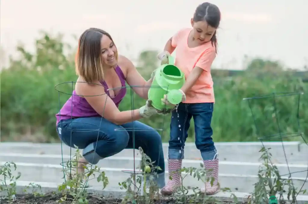 Over or Under Watering