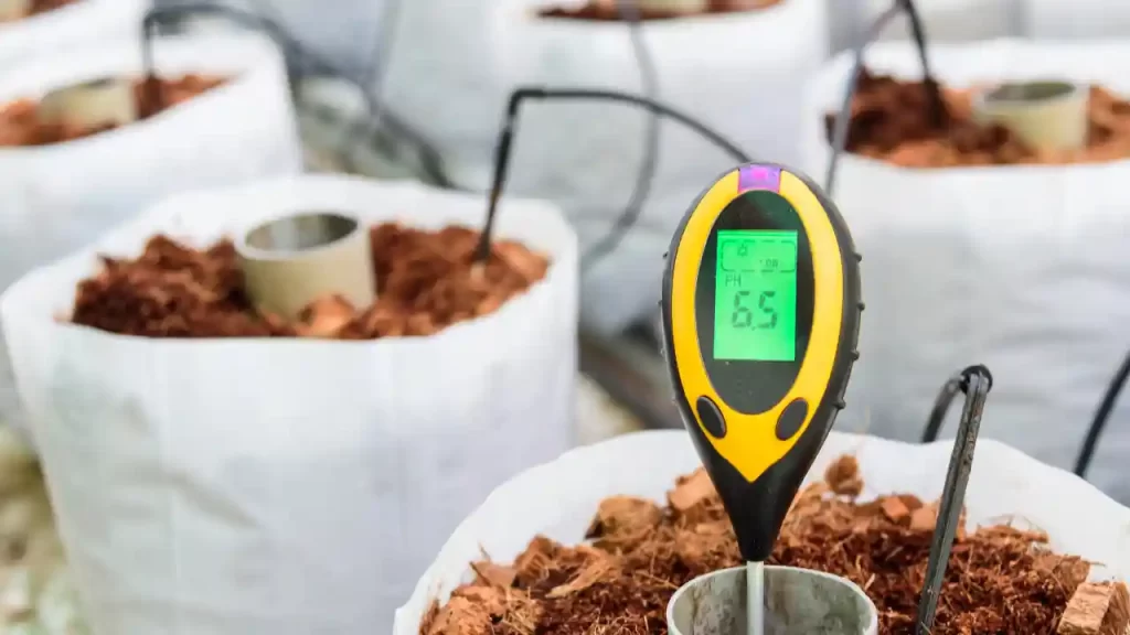 Measure the Soil pH