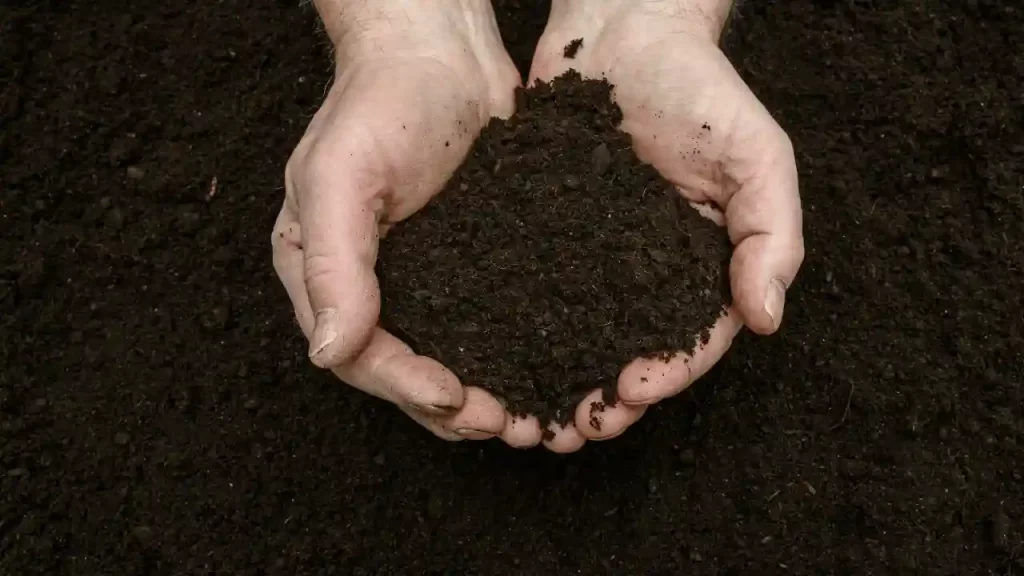 Add Compost to Increase Organic Matter