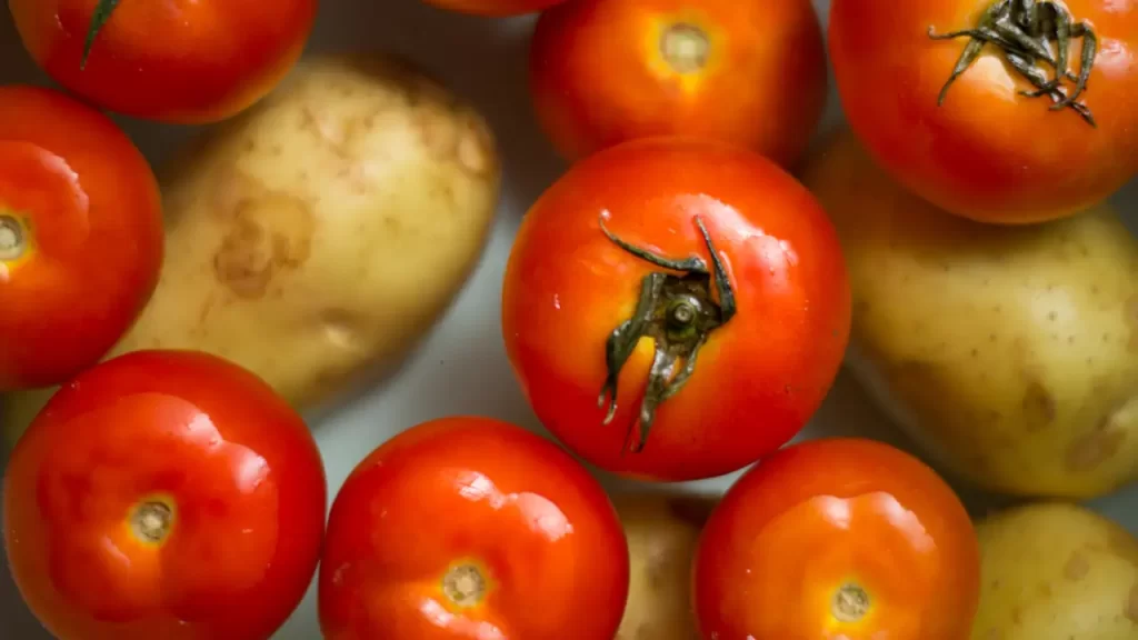 How To Plant Tomatoes and Potatoes Together