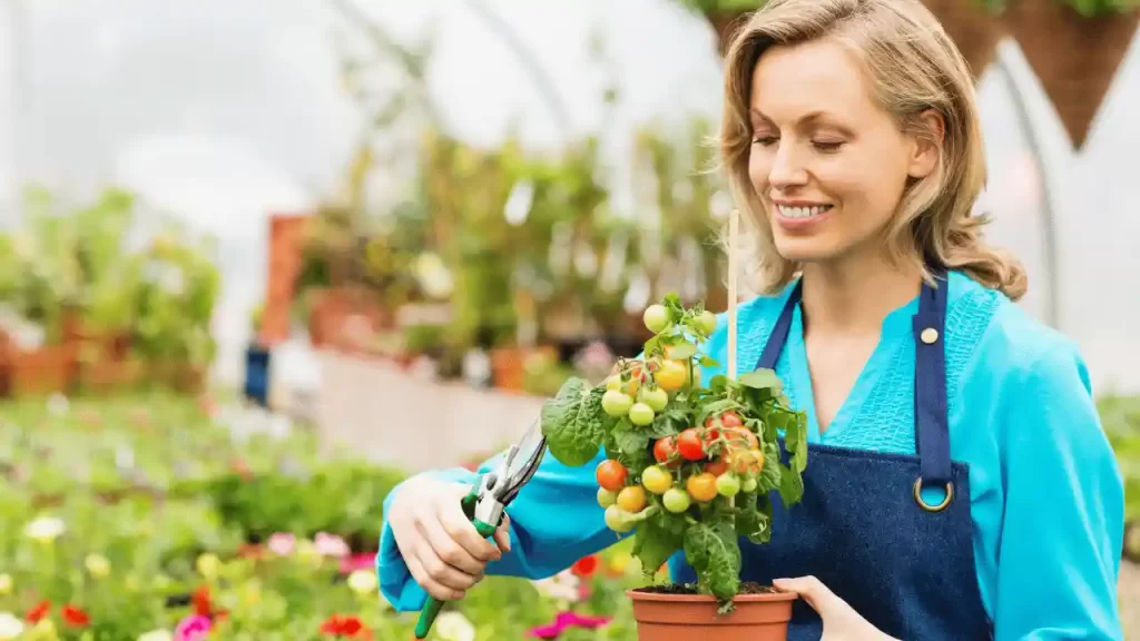 Pruning Your Cherry Tomatoes