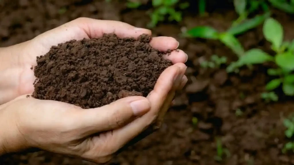 soil quality