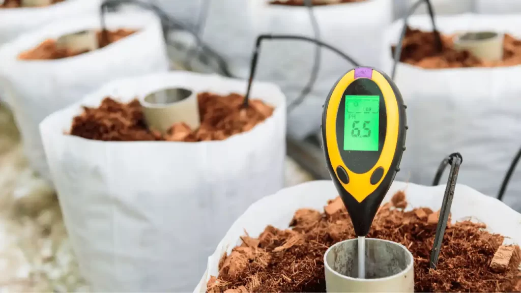 measure soil ph level