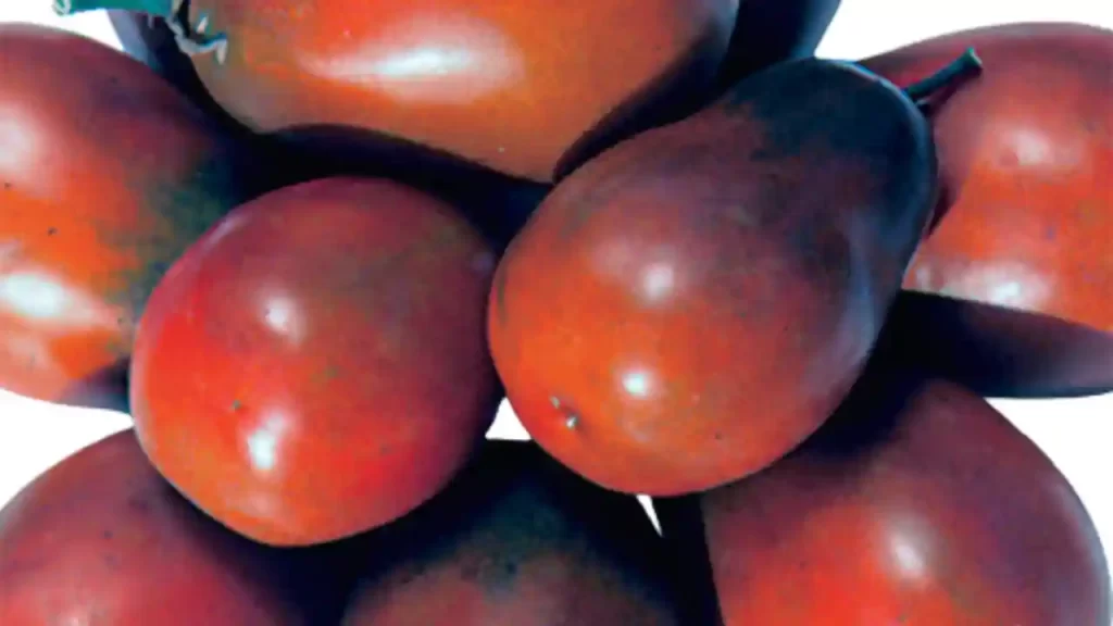 black plum tomato variety